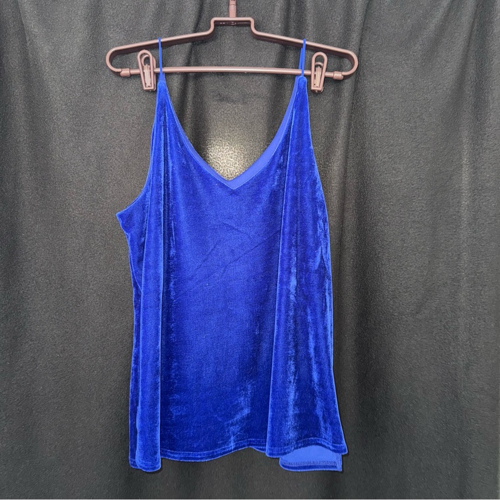 Blue Velvet Women's Top